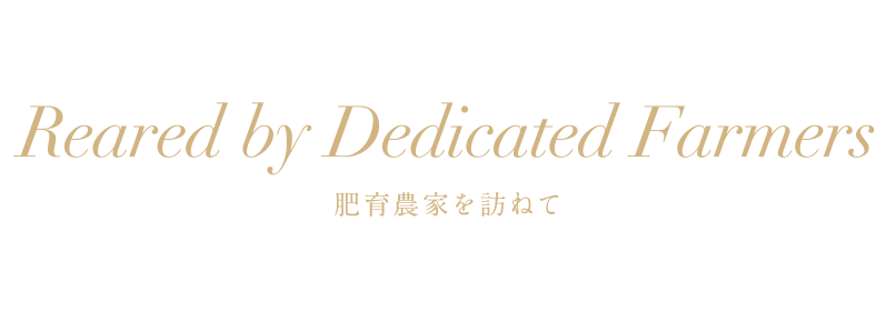 Reared by Dedicated Farmers 肥育農家を訪ねて